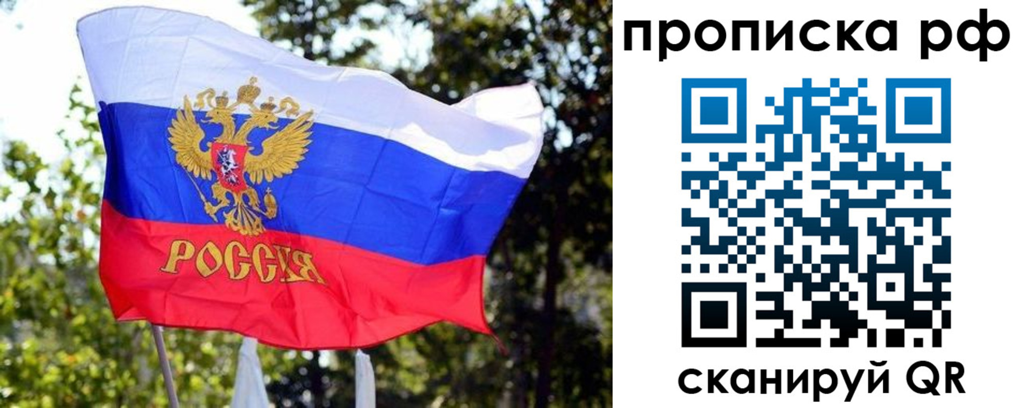 временная регистрация надежно в Брянской области